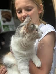 Deborah Chartier's Instagram, Twitter & Facebook