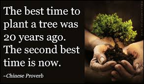 Discover and share quotes on tree plantation. Quotes About Planting 164 Quotes