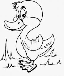Dibujos Animados Para Colorear Pato
