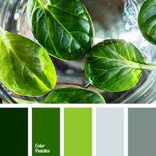 Check spelling or type a new query. Color Palette 2651 Color Palette Color Balance Beige Color Palette