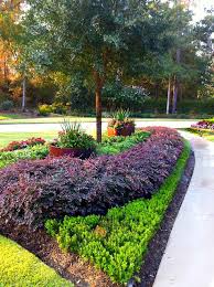 Pin On Gardens