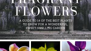 The delicate flowers make a beautiful miniature bouquet. 14 Of The Best Fragrant Flowers To Grow For A Sweet Scented Garden Dengarden