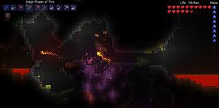 It was developed by leo leon, an unpopular developer unit. Terraria Free Download