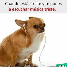 A folder that contains memes about musical groups, music styles, or music itself. Cuando Estas Triste Y Escuchas Musica Triste Quecomico Com