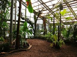 Image Result For Diy Bird Aviary Bird Aviary Bird House Kits Bird Houses