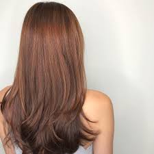 Many asian women complain that when they try to dye their hair light brown or dark blonde, it barely lightens. 6 Reasons Why Copper Is The Lit Hair Colour All Asians Should Rock At Least Once In Their Lifetime