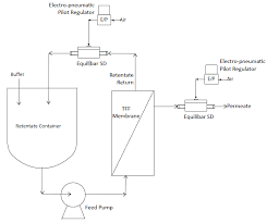 Check spelling or type a new query. Pressure Control For Tangential Flow Filtration Equlibar