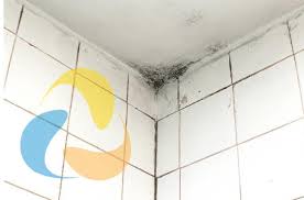 Veel huizen hebben last van schimmel in de badkamer. Huis Vol Schadelijke Schimmels Schimmel In Huis Bestrijden 123ventilatie Nl De 1 Webshop Voor Al Uw Ventilatie Producten