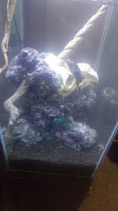 Maybe you would like to learn more about one of these? Diy Foam Aquarium Backgrounds And Caves Easy Fish Tank Decorations