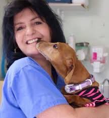 Meet Our Veterinarians