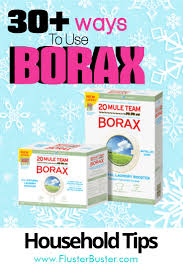30 ways to use borax fer buster