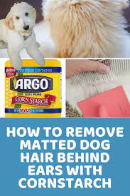 How To Remove Matted Dog Hair Behind Ears With Cornstarch