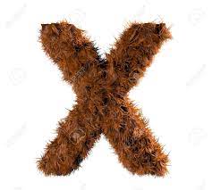 3d Render Of A Hairy X Stock Photo, Picture and Royalty Free Image. Image  15328757.