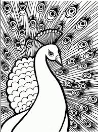 40+ coloring pages for adults peacock for printing and coloring. Peacock Coloring Pages For Adults Coloring Home
