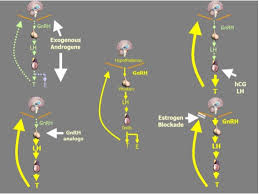 He is one of 4 players in history to be a member of both the 3,000 hits and 500 home. Performance Enhancing Hormone Doping In Sport Endotext Ncbi Bookshelf