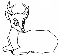 Les pages à teinter seront enrichies en fournissant des photos de chiffres, de savoir, d'bétail et de mots, aussi que votre rejeton puisse allonger ses occurrence dans autre domaines. Coloriage Chevreuil 2620 Animaux Album De Coloriages
