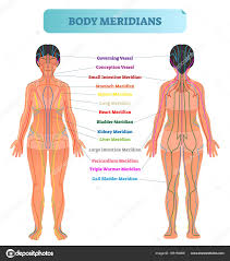 Body Meridian System Vector Illustration Scheme Chinese