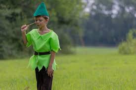 Peter Pan Costume Lime Green 3 Piece Felt Dress Up Pretend Etsy Peter Pan Costume Kids Kids Costumes Girls Kids Costumes Boys