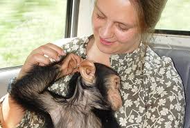 Bethan Morgan, Ph.D.