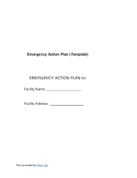 Emergency Action Plan Template