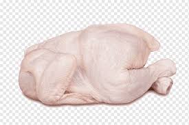 Jelajahi koleksi makanan halal, ayam, ayam pedaging gambar logo, kaligrafi, siluet kami yang luar biasa. Berpakaian Ayam Daging Ayam Buffalo Sayap Ayam Foodism Mentah File Daging Ayam Makanan Daging Sapi Tangan Png Pngwing