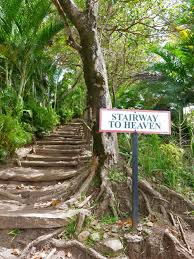 Best Tour Of St Lucia Real St Lucia Tours St Lucia Vacation St Lucia Travel St Lucia Honeymoon