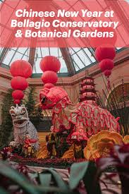Chinese New Year In Las Vegas In 2020 Botanical Gardens Bellagio Conservatory Botanical