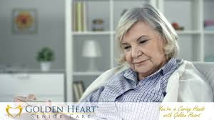 9375 e shea bvd., suite 274, scottsdale, az 85260. Golden Heart Senior Care Business Opportunity For Sale On Bizquest