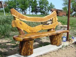 Image result for bodock tree picture