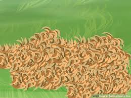 How To Build A Round Pen With Pictures Wikihow