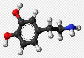 Chemical can also be an adjective that describes properties of materials that are the result of various reactions between different compounds. Dopamine Molecule Brain Neuron Chemical Structure Chemical People Neuron Amine Png Pngwing