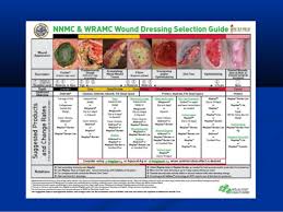 Wound Dressing