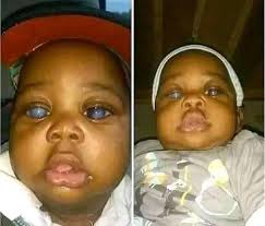 🎀🎀🎀🎀🎀🎀🎀🎀🎀🎀🎀🎀🎀