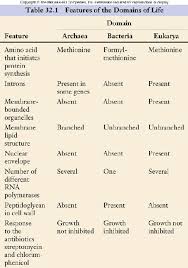 Classification Of Organisms