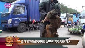 In fact, before april, this strain of flu virus had never been known to jump to human. Eudmkzembeglim