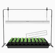 Amazon Com Igrowtek 2 Feet Led Grow Light Stand Rack For Seedling Plant Growing With Natural White Light Full Led Grow Lights Grow Light Stand Grow Lights