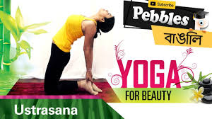Ustrasana In Bengali Yoga For Weight Loss Bangla Yoga Video Bengali Yogasana Yoga Steps Youtube