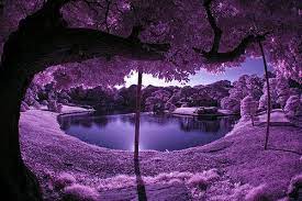 Purple Scenery Recent Photos The Commons Getty Collection Galleries World Map App Scenery Landscape Beautiful Nature