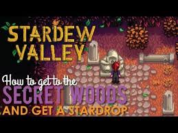It hosts a variety of rare items and some key items you will need to complete the witch's swamp . How To Get A Stardrop In The Secret Woods Stardew Valley By Foodfluent By Redlace