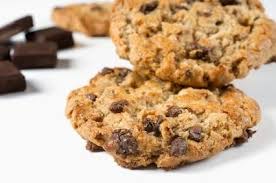 Recette Au Deshydrateur Cookies Crus Au Chocolat Recettes Nourriture Deshydratee Recette Deshydrateur