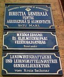 Două supermarketuri se deschid săptămana aceasta in satu mare penny. Satu Mare Wikipedia