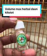 Membalas @Aji Jamesboon522 izin balas pake VT omku gurah burung ...