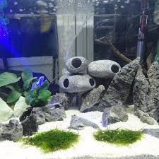 Cichlid Stone Aquarium Fish Tank Pond Ornament Decoration Shrimp Breeding Rock Cave Ceramic Stones Akvaryum Aquarium Fish Tank Aquarium Fish Aquarium