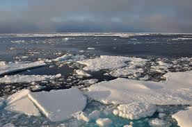 Sea Ice Wikipedia