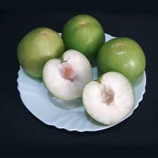 At jujube australia we propagate jujube trees for our commercial orchard. Green Jujube Taiwan Giant Jujube Apple Jujube Collection Variety Ch Fruit Tree Nursery