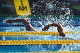 Jul 20, 2021 · this swimming quiz covers famous moments in the sport's history. Swimming Quizzes Eatsleepswimcoach