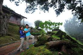 Ia merupakan tempat menarik di taiping 2018. Apa Ada Di Bukit Larut Taiping Peta Ke Sini