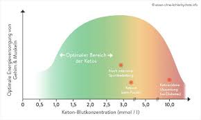 Übersteigt die konzentration von ketonkörpern im blut die 0,5 mmol/l marke, spricht man von ketose. Die Ketogene Diat Fett Verbrennen Low Carb Diaten