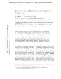 Check spelling or type a new query. Pdf The Structure And Function Of The Eukaryotic Ribosome