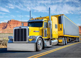 Image result for Yellow 2020 Fleet